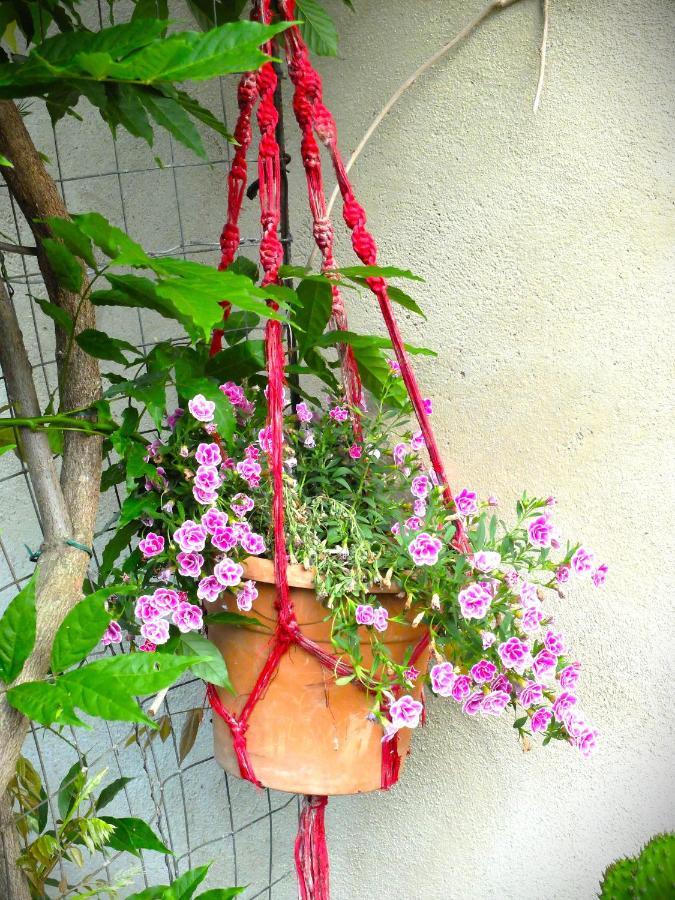 La Cheta Villa Monsagrati Екстериор снимка